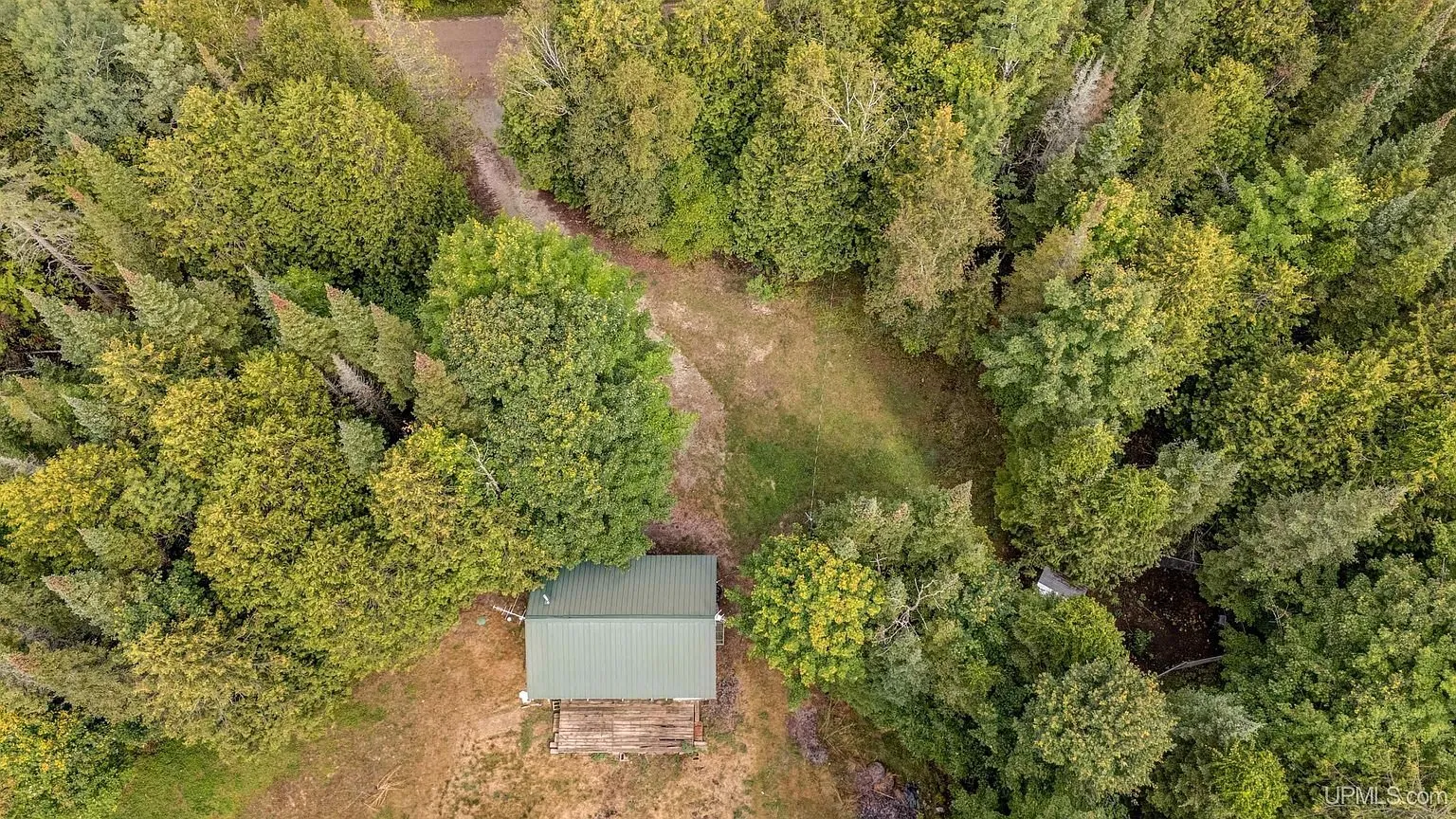 Aerial of the cottage roof with the drive coming in through the trees
