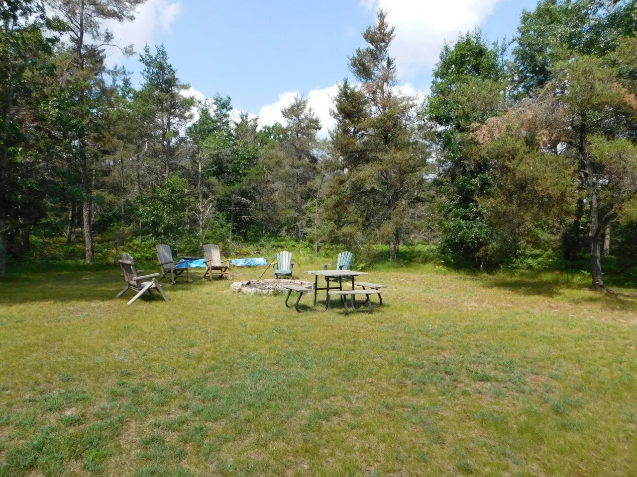 The back lawn with the firepit and picnic table under the pines