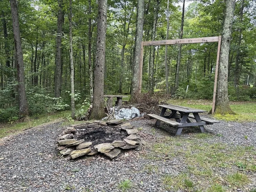 The stone firepit and picnic table on the gravel beside the trees