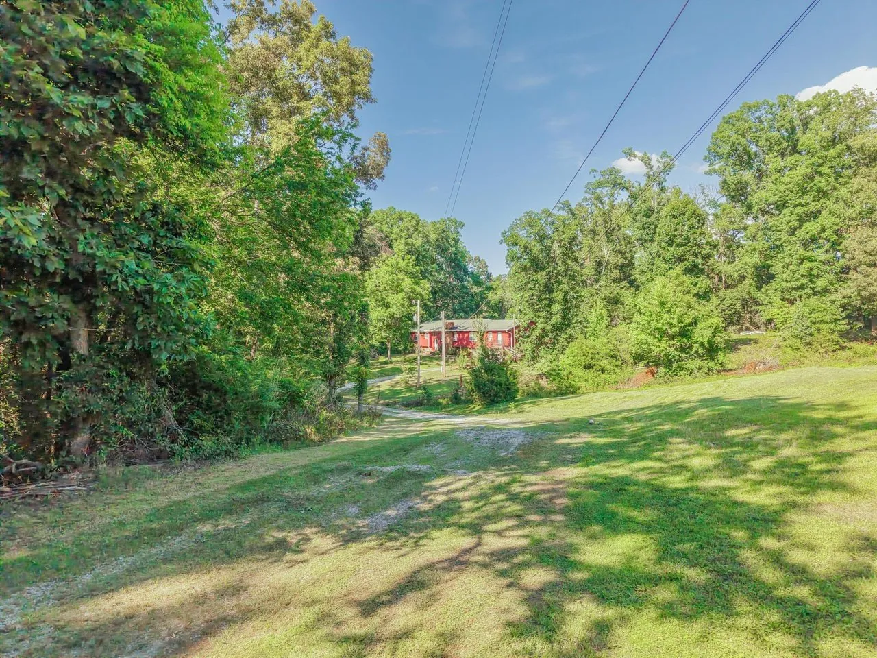 Aerial of the clearing and the house from above the treetops