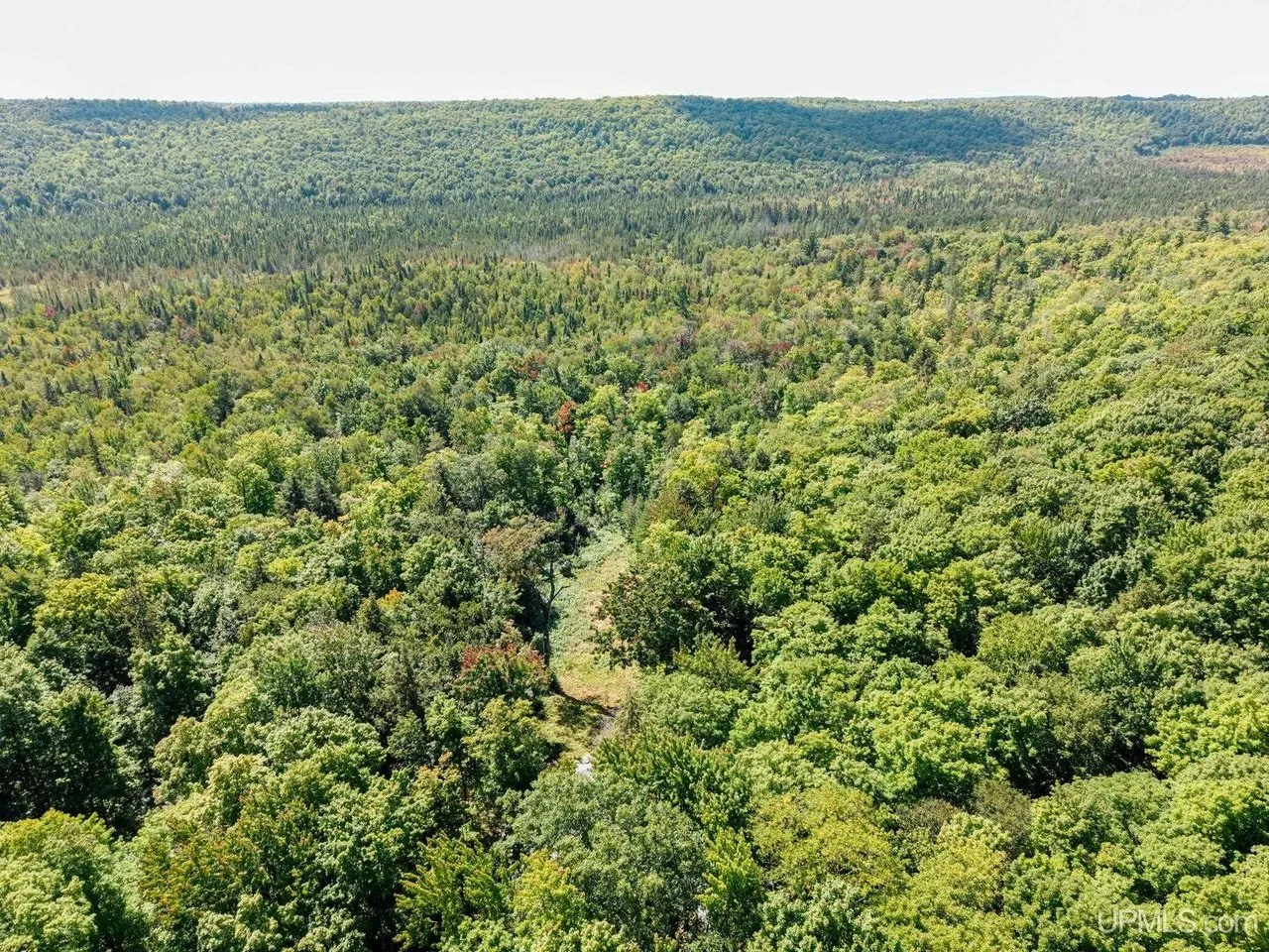 Aerial across unbroken hardwood forest to the horizon