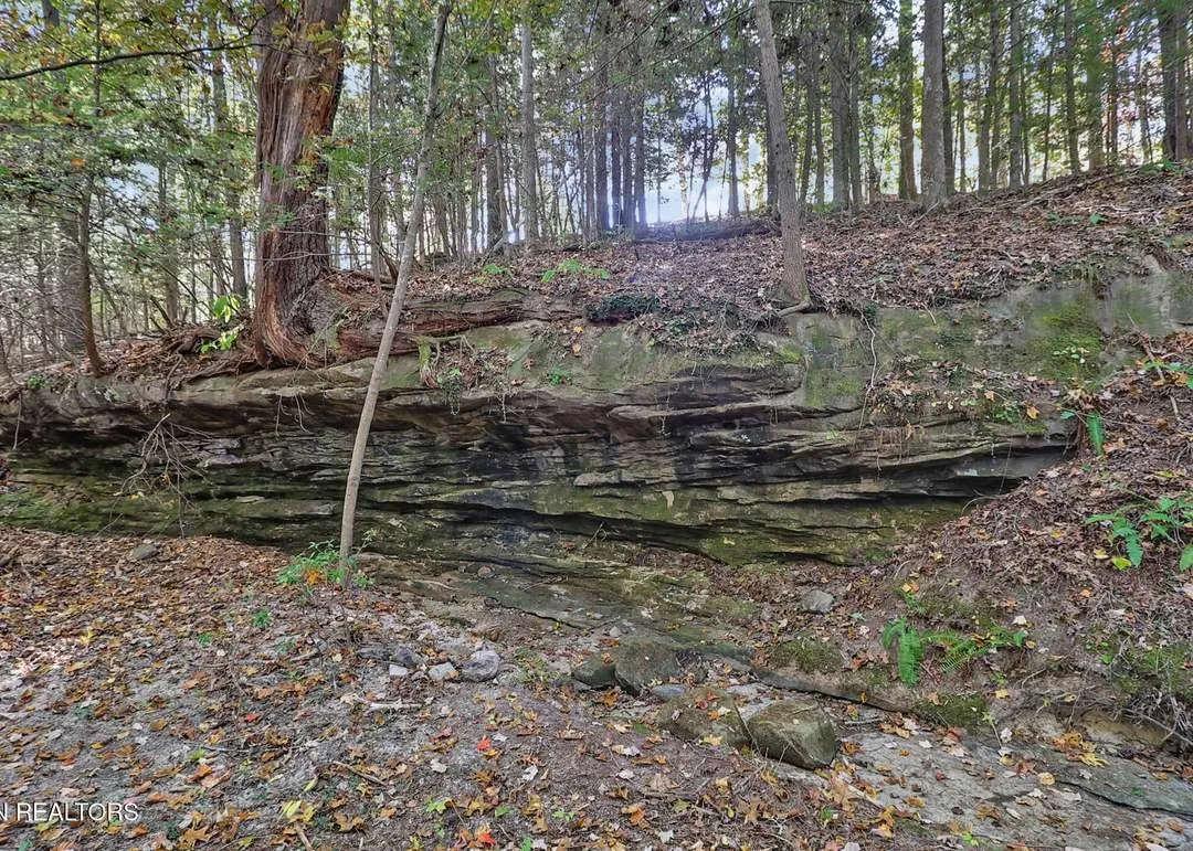 A third angle of the creek bed, showing the rock formations along its banks