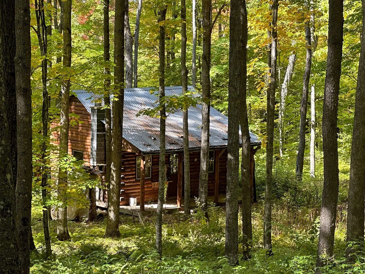 The cabin among the trees with its metal roof under the canopy