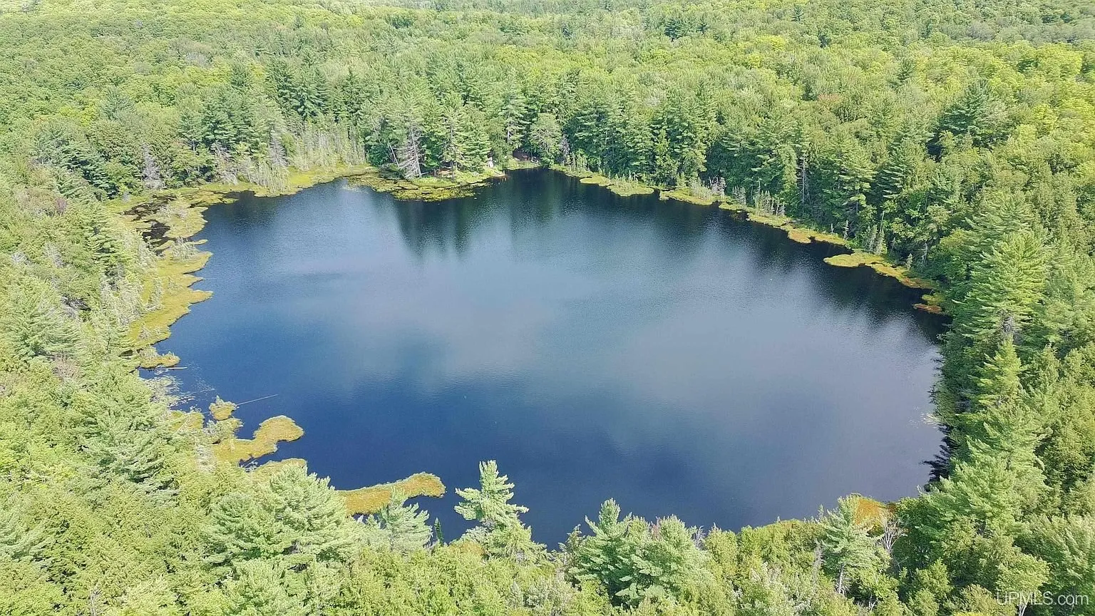 Aerial of the lake from higher up with the woods running to the horizon