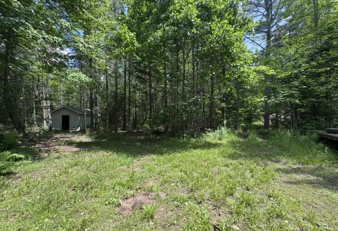 A second shed in the woods behind the lawn