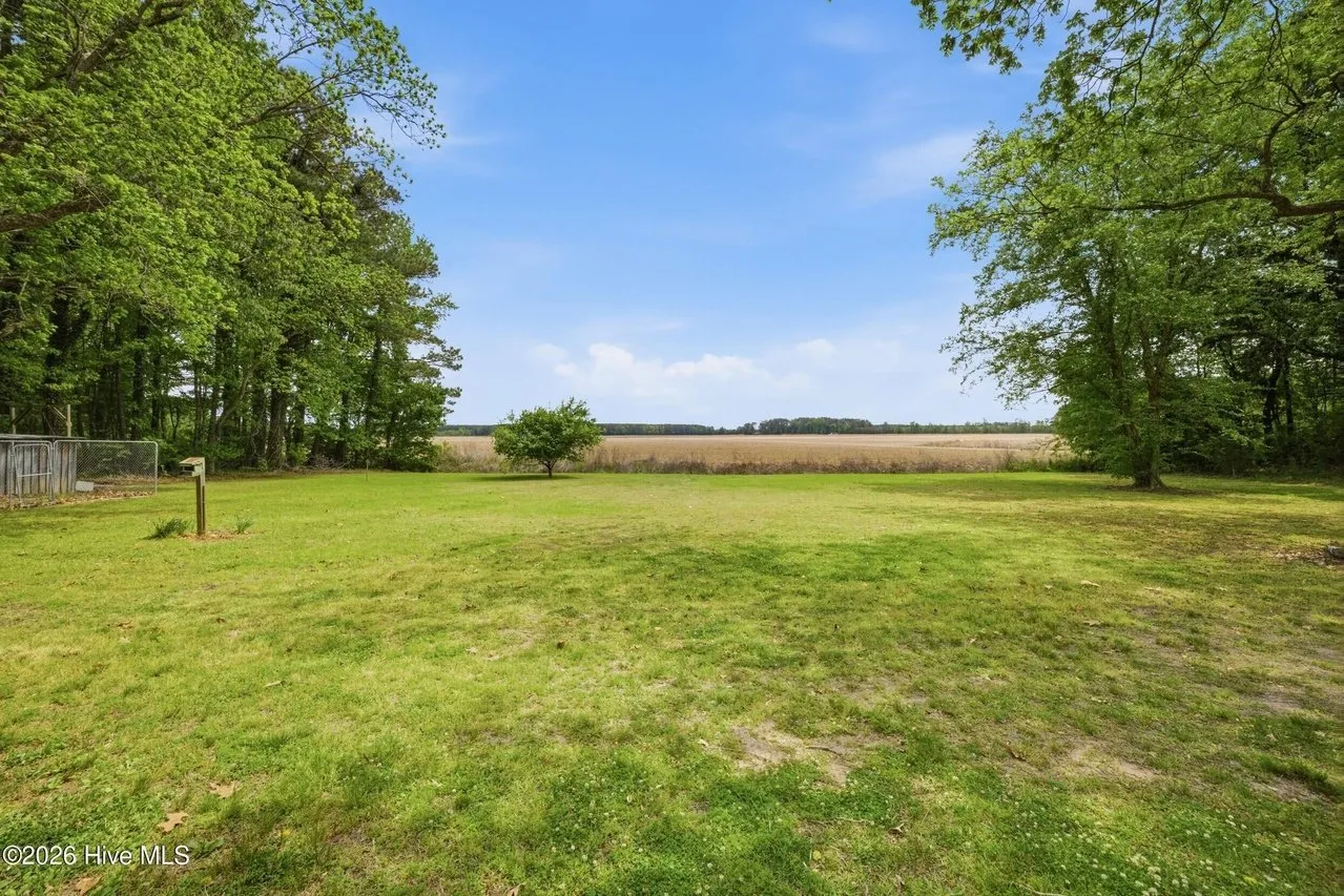 Open mown field on the property, tree line at the back