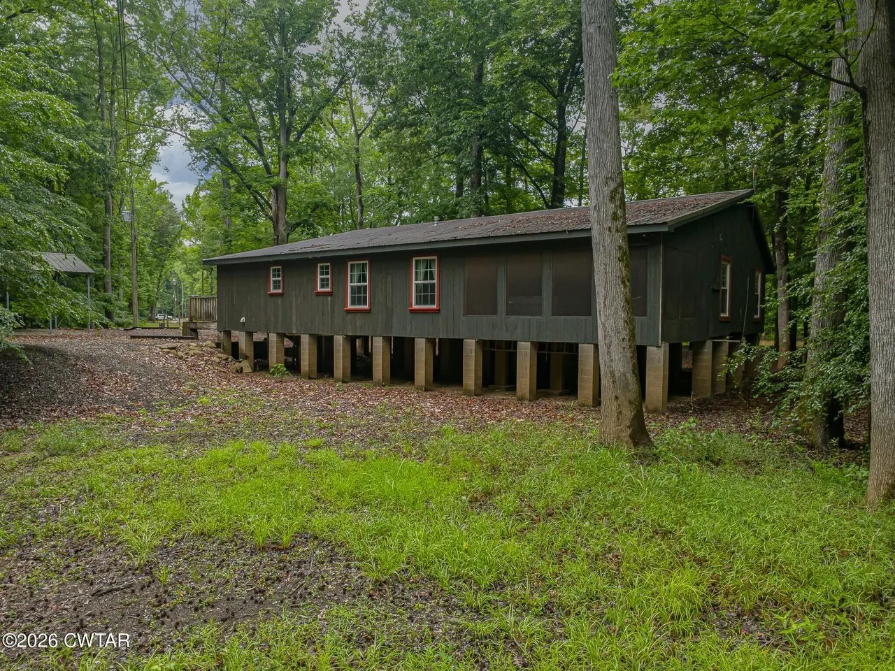The cabin from the far end of the clearing, woods closing in behind