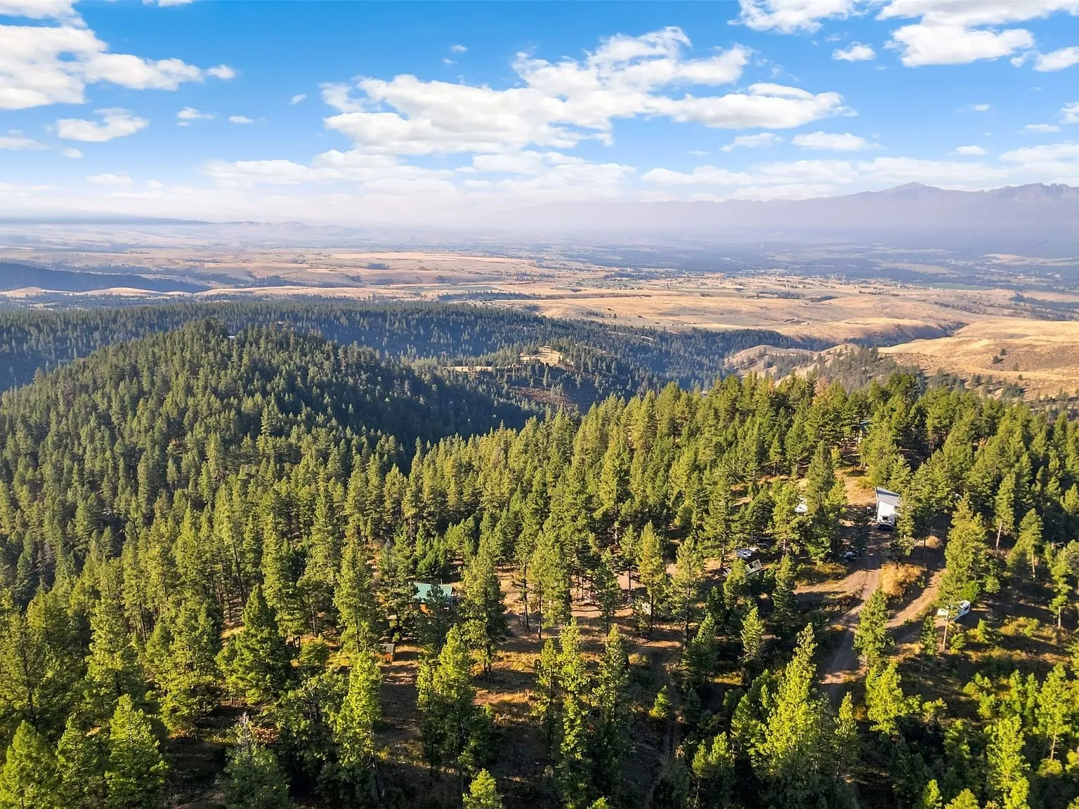 A wide aerial view of the valley floor and surrounding forest