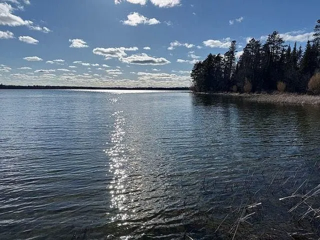 The lake from the shore with the far treeline