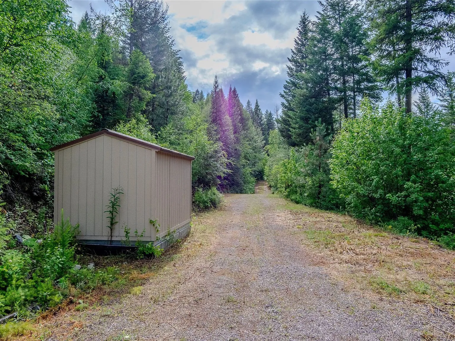 One of the two storage sheds beside the gravel driveway