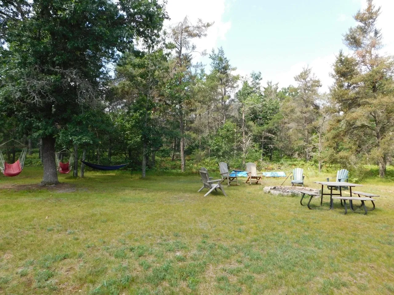 The yard looking into the treeline at the back of the 2.5 acres