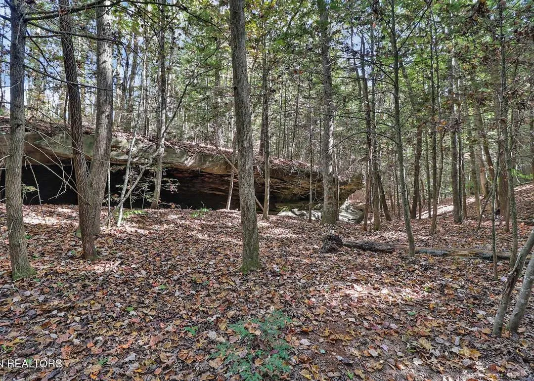 The wooded yard bordered by a split-rail fence near the driveway entrance