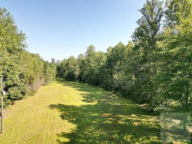 Aerial of the open pasture strip running between the woods