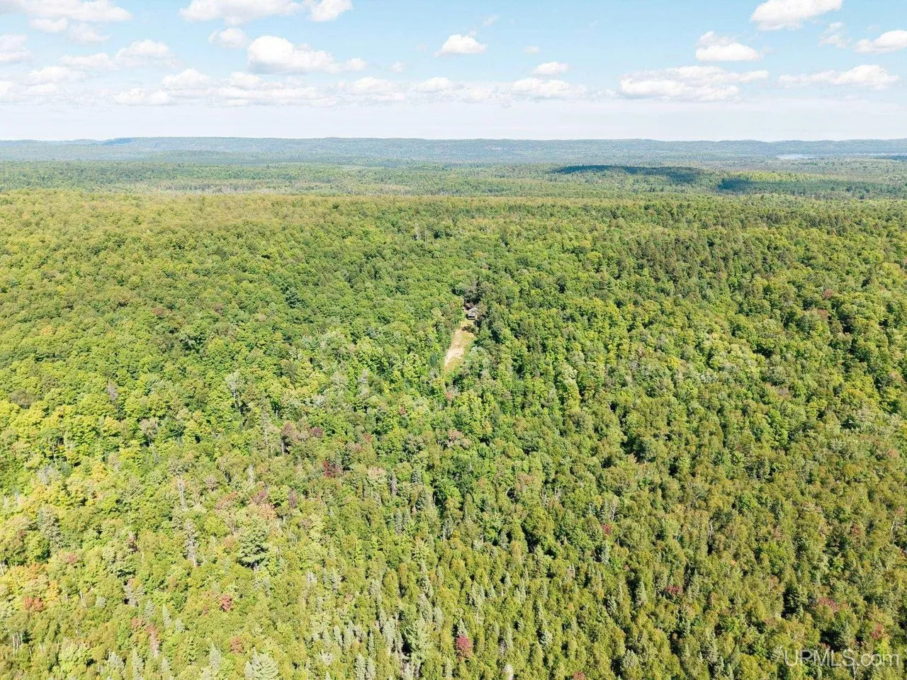 Aerial over the treetops with hills running into the distance
