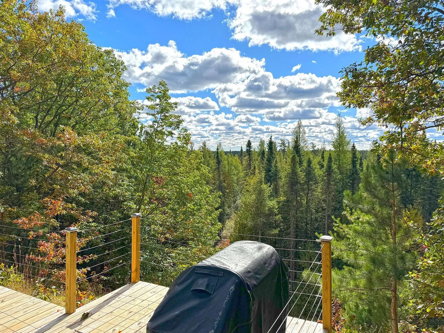 The deck rail looking out over the forest below the ridge