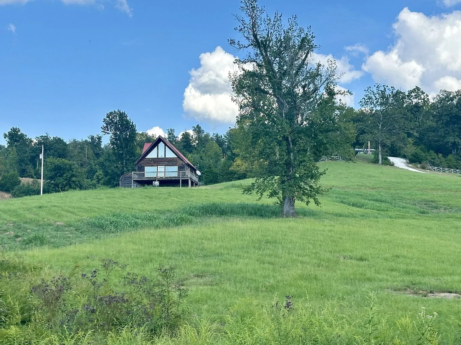 The A-frame from across the field with the big tree