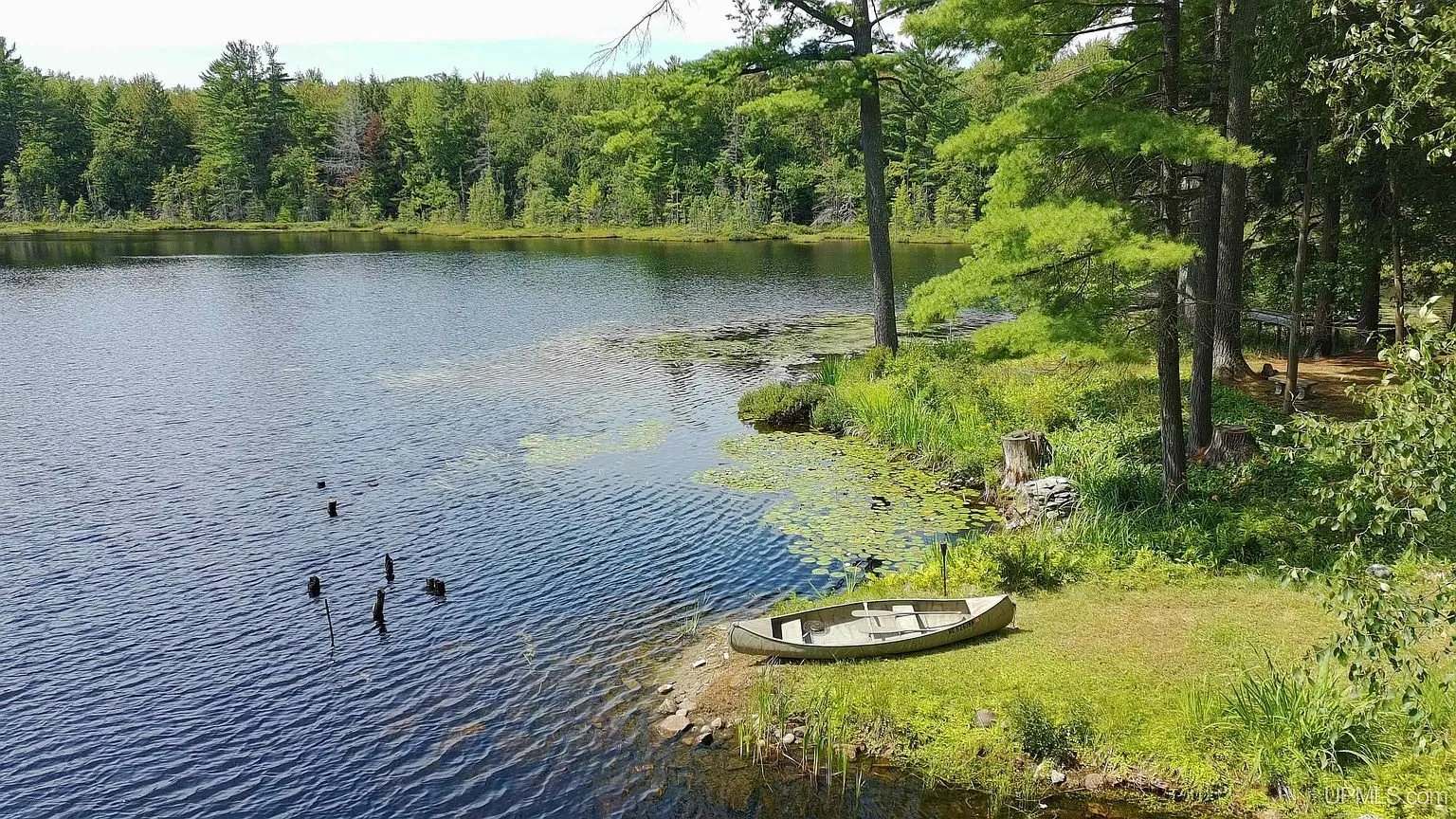 The lake shore with a rowboat pulled up on the grass