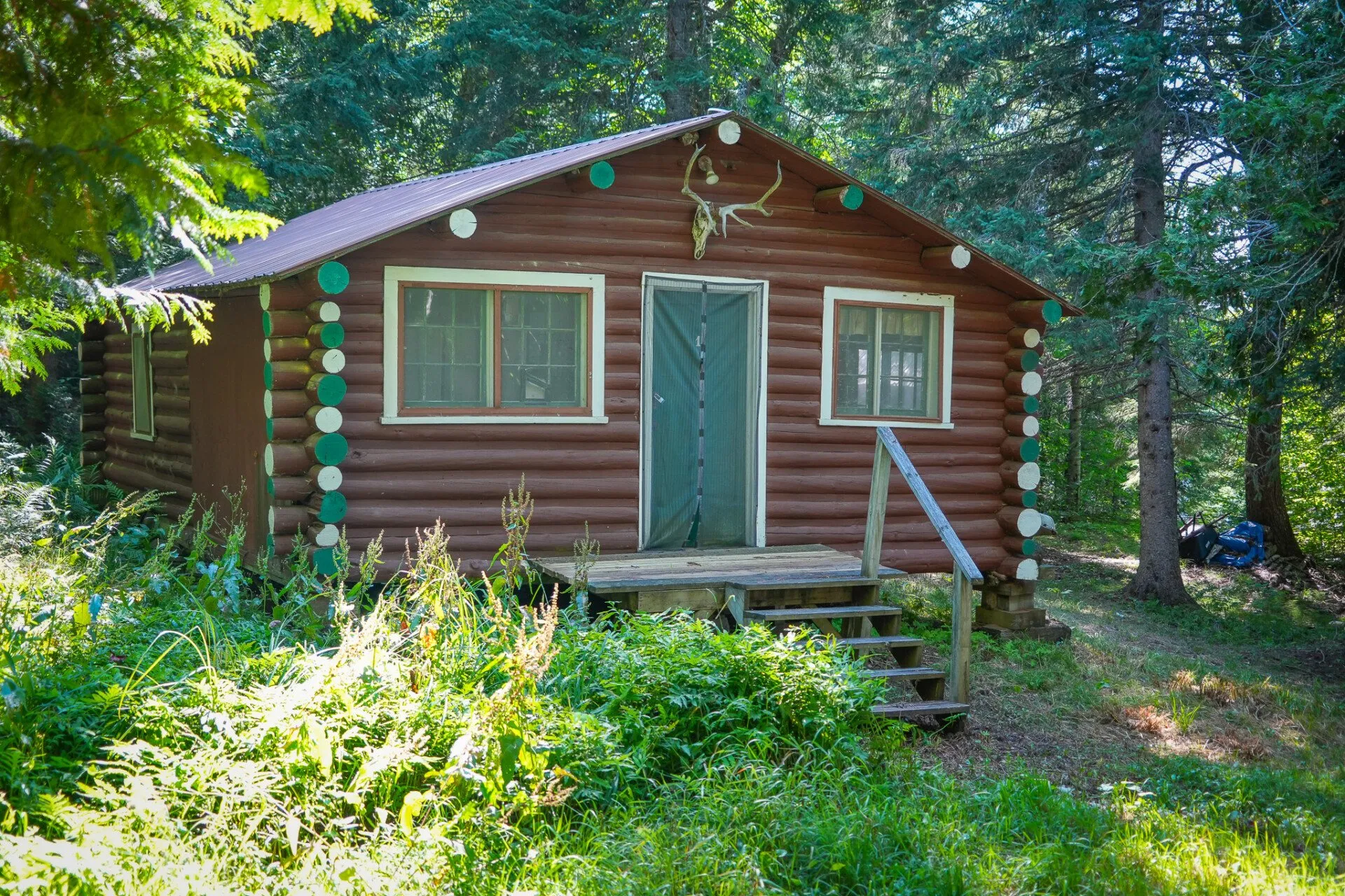 The main log cabin from the front, antlers over the door and a small porch