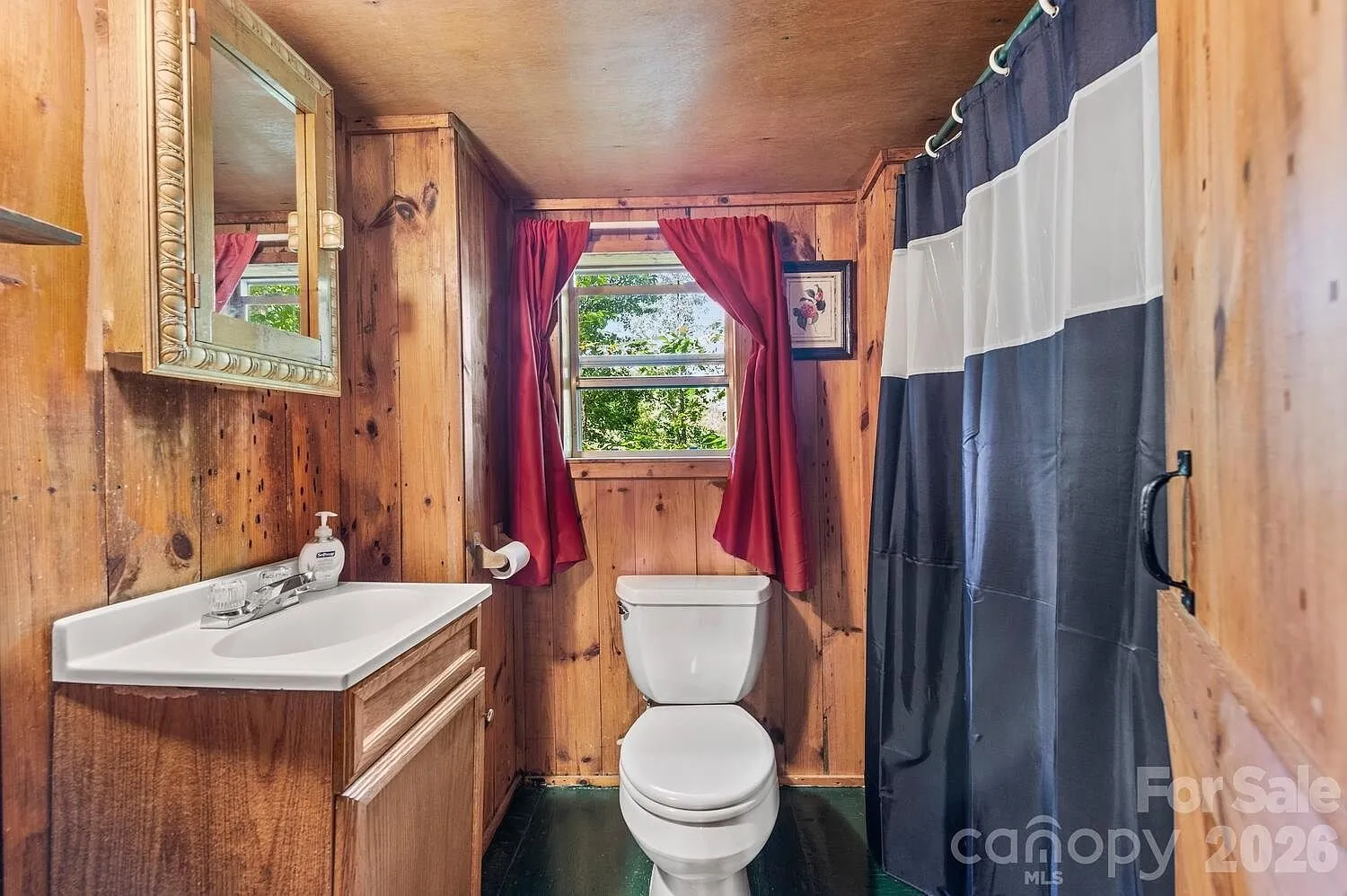 The bathroom with the vanity, the toilet and the shower curtain