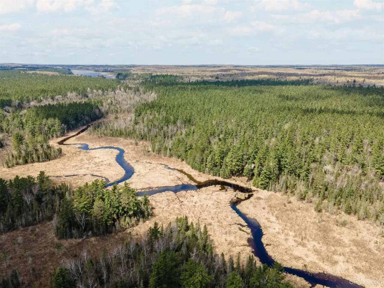 Aerial of the river curving through unbroken forest