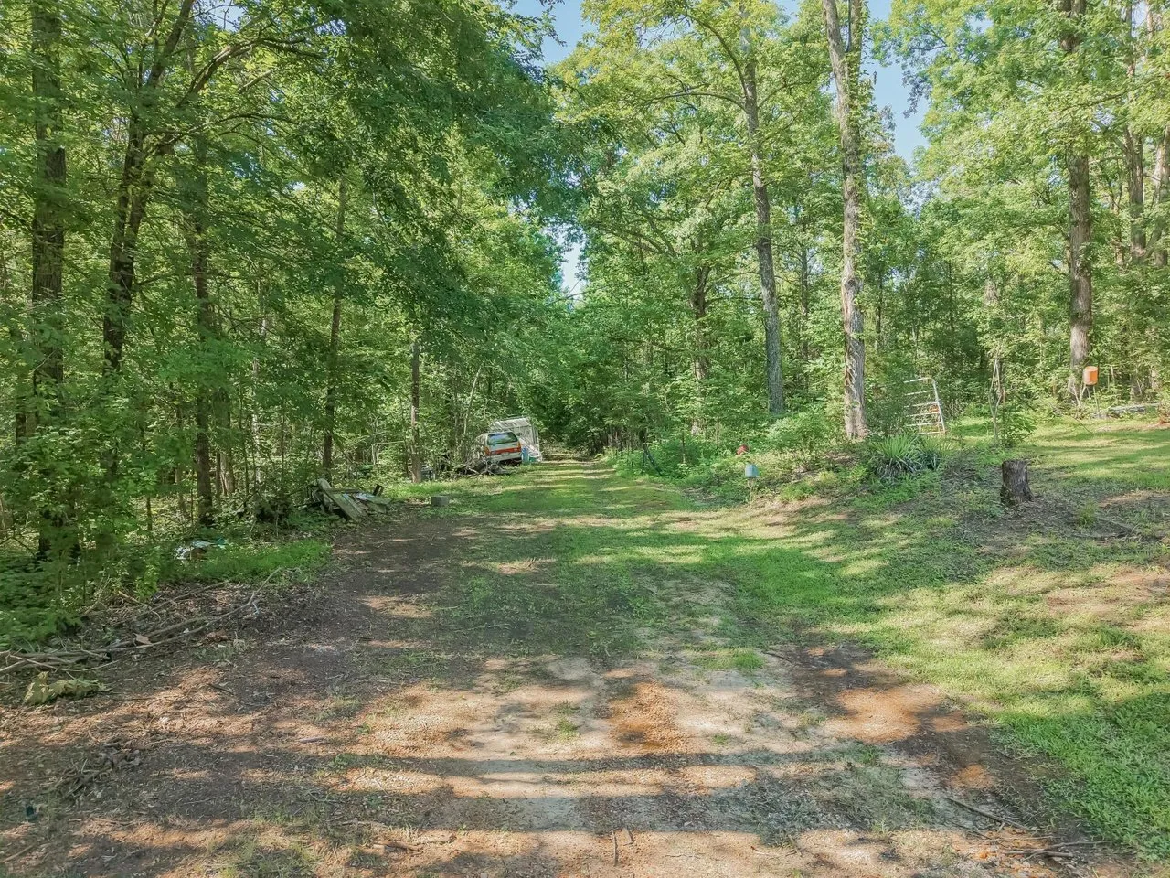 Inside the woods on the property, hardwoods and open ground between them
