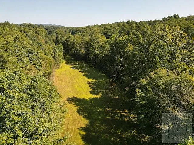 Aerial of the pasture and the surrounding timber