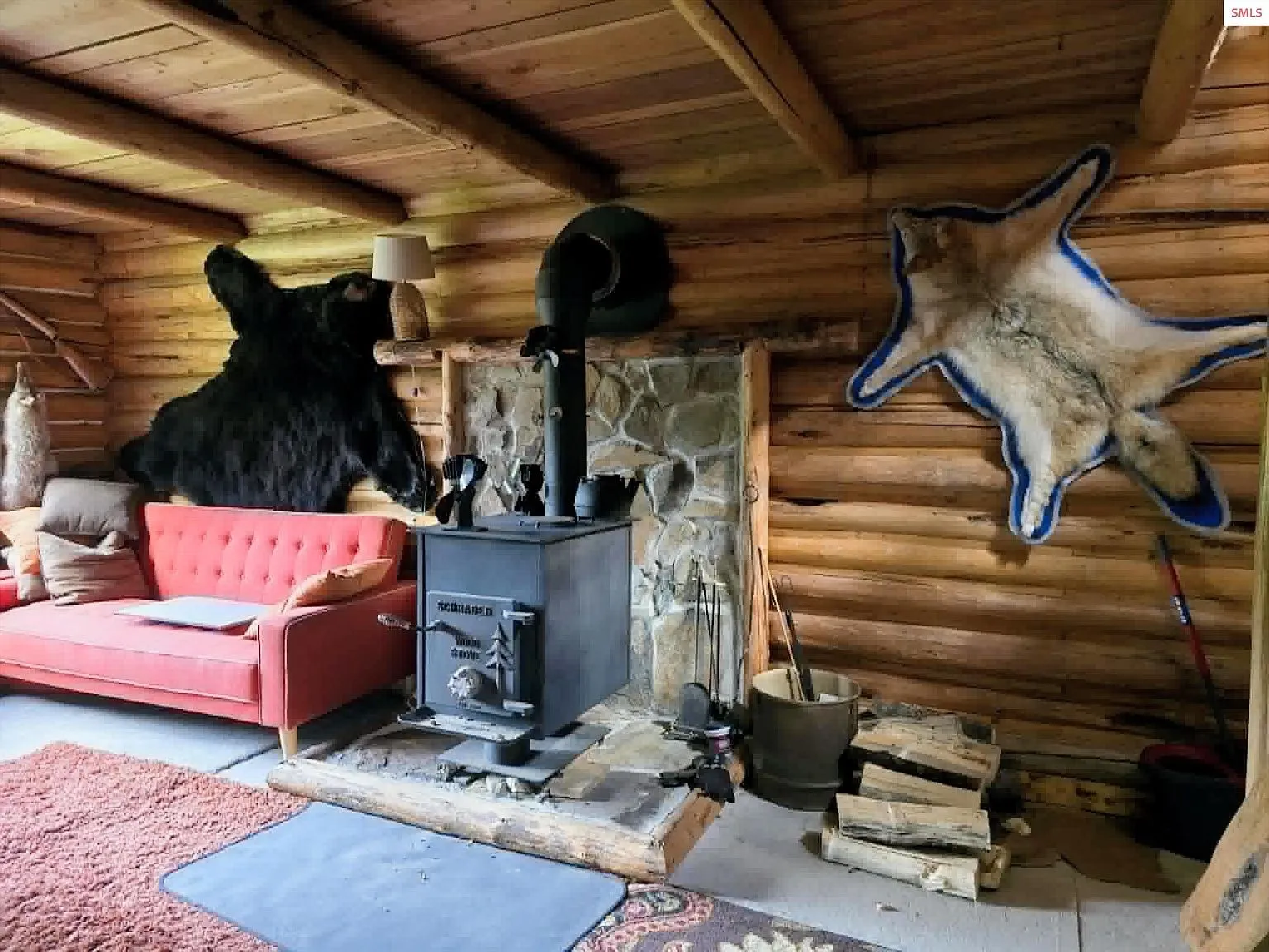 The log cabin standing in a grassy clearing surrounded by tall pines
