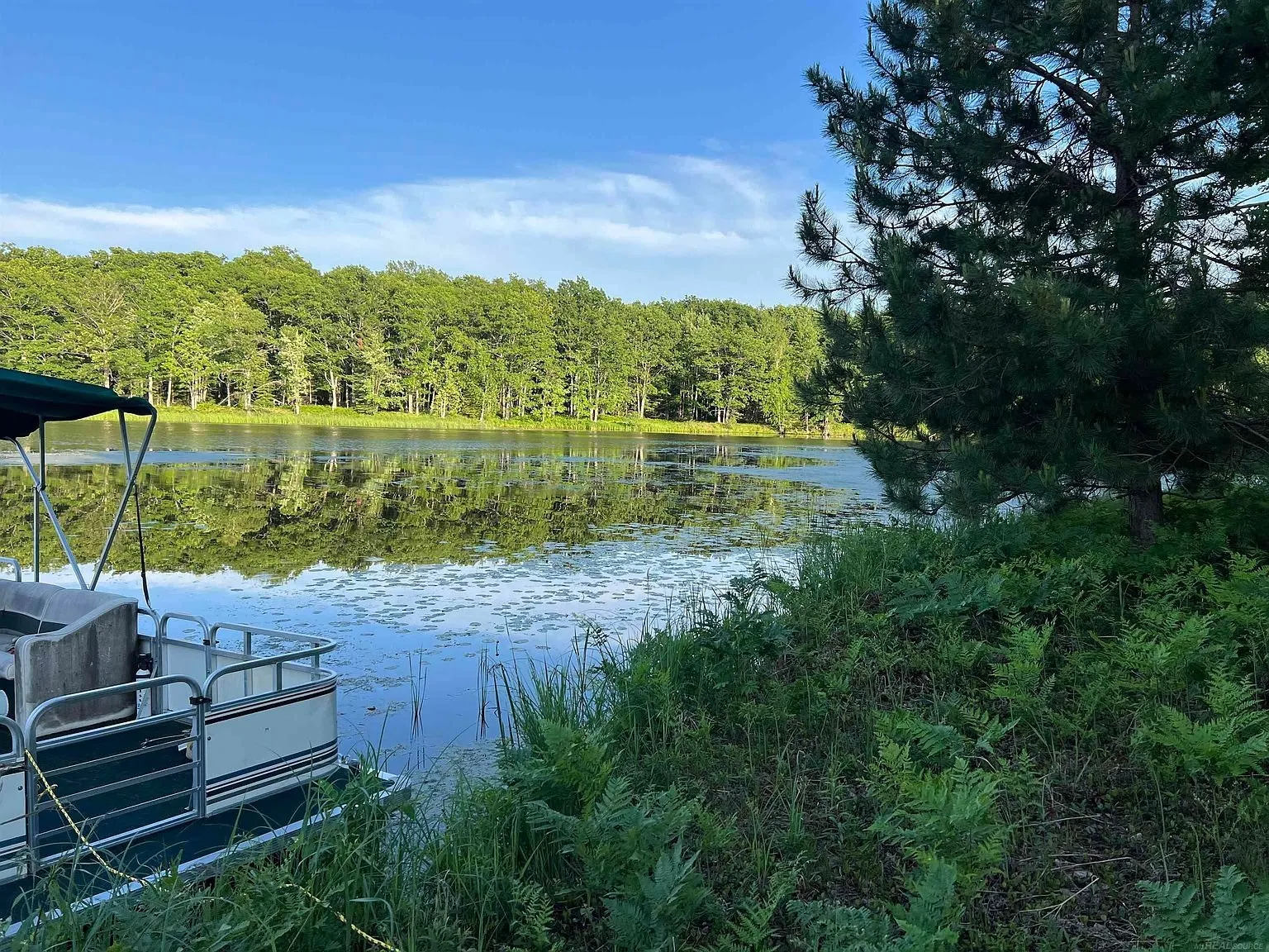 The lake from the shore with the pontoon boat and the ferns