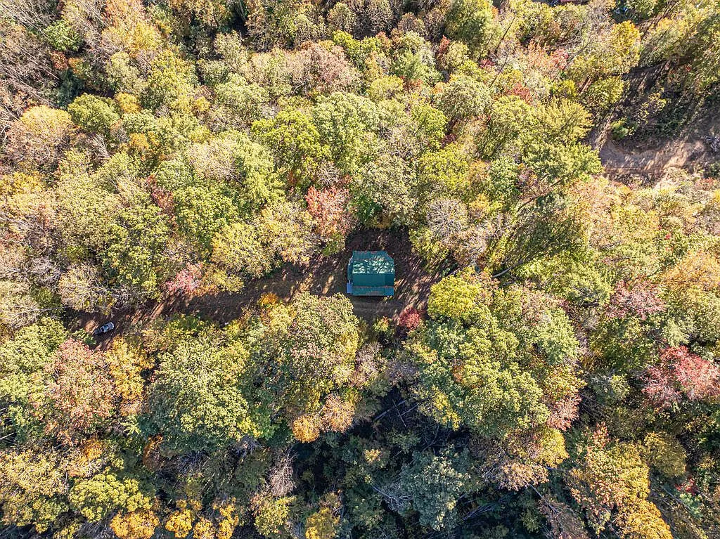 An aerial view directly above the cabin's green metal roof in the forest clearing