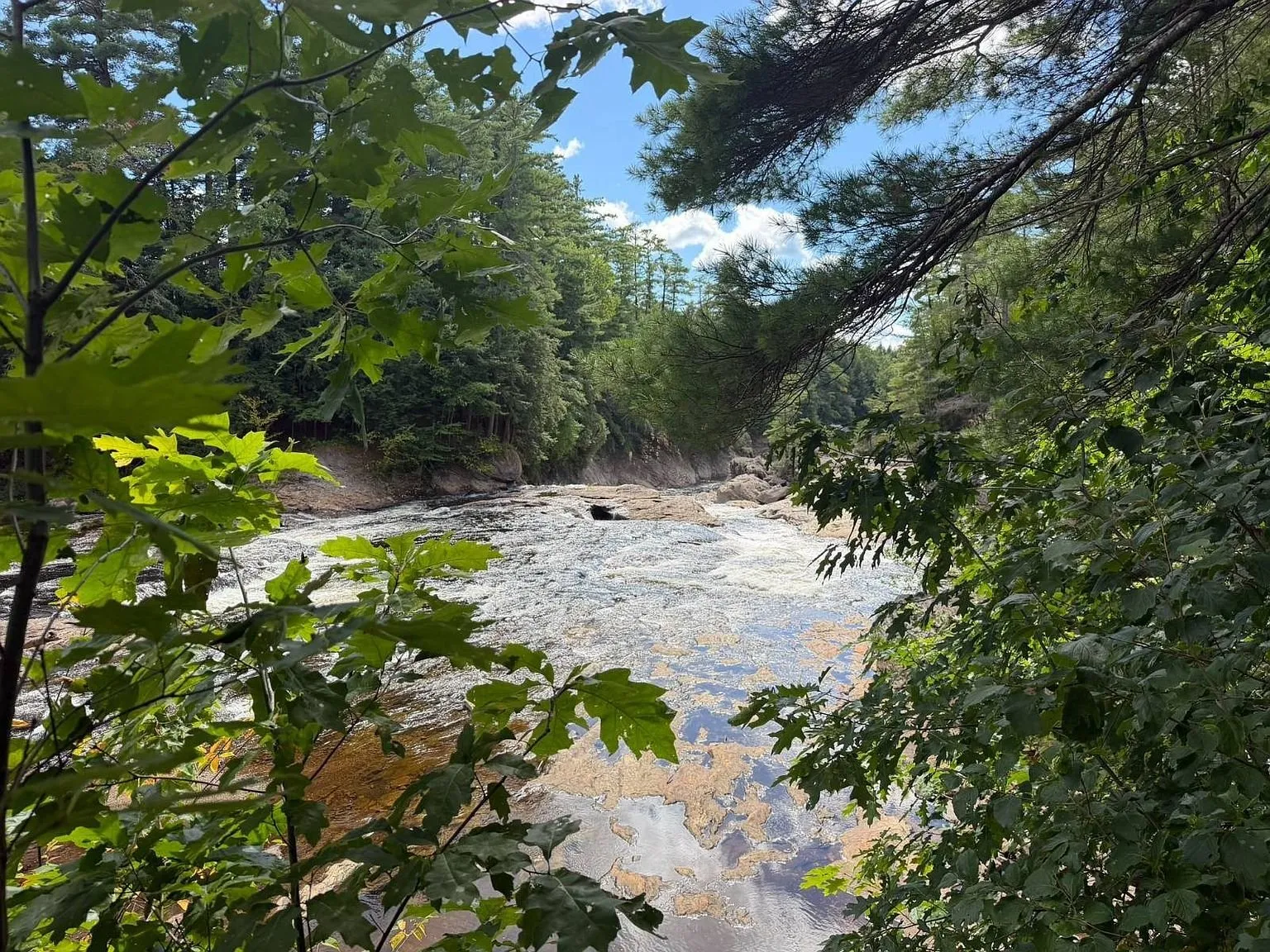 The river through the branches from the bank