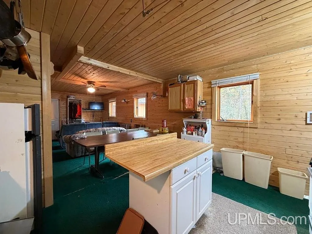 A dining counter and kitchen cabinets near the entry
