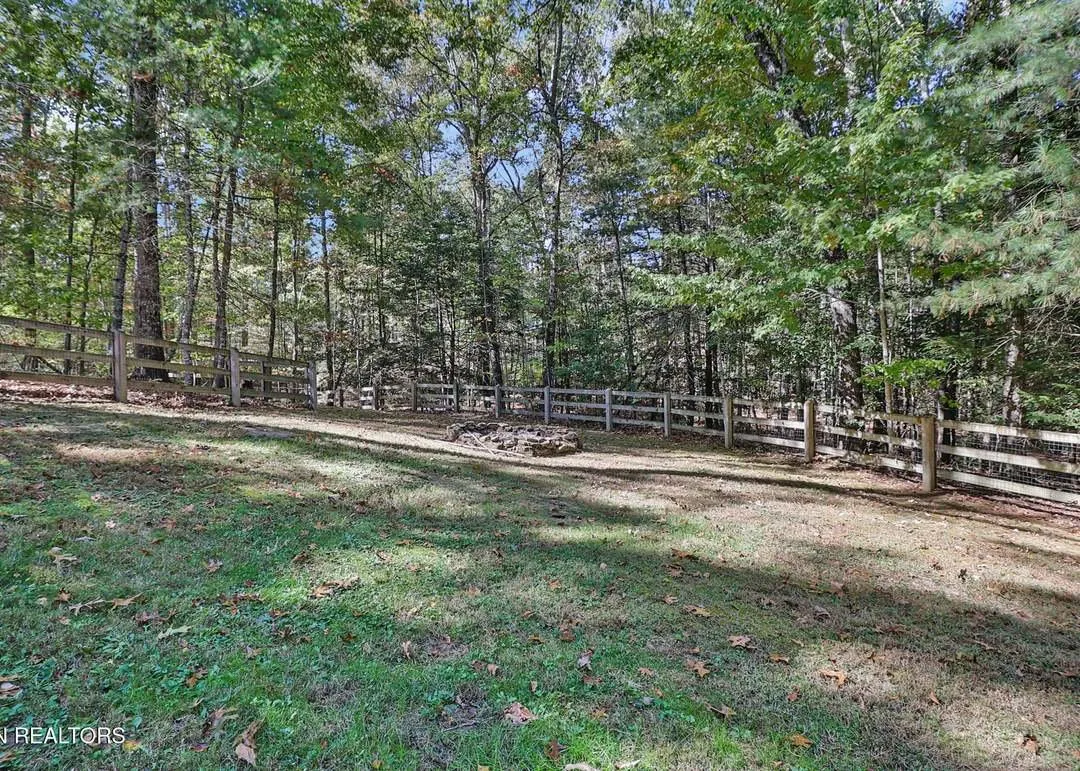 A wide view of the wooded acreage surrounding the cabin
