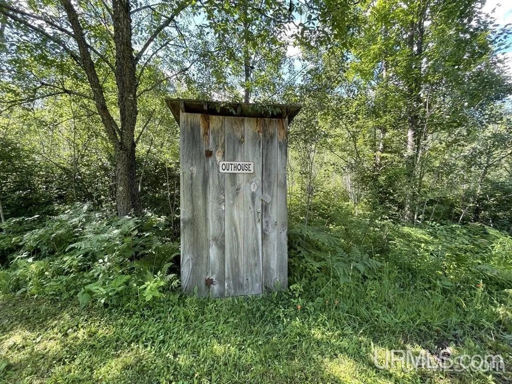 The outhouse standing among the ferns, its door marked Outhouse