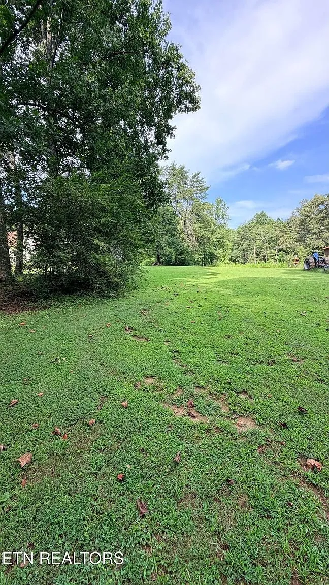 The open lawn running down to the trees
