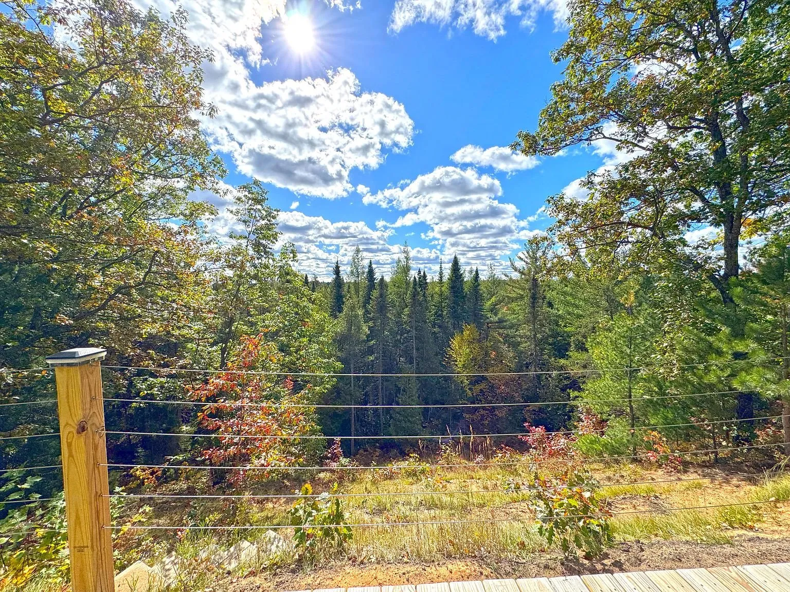 The view from the ridge over the treetops to the horizon
