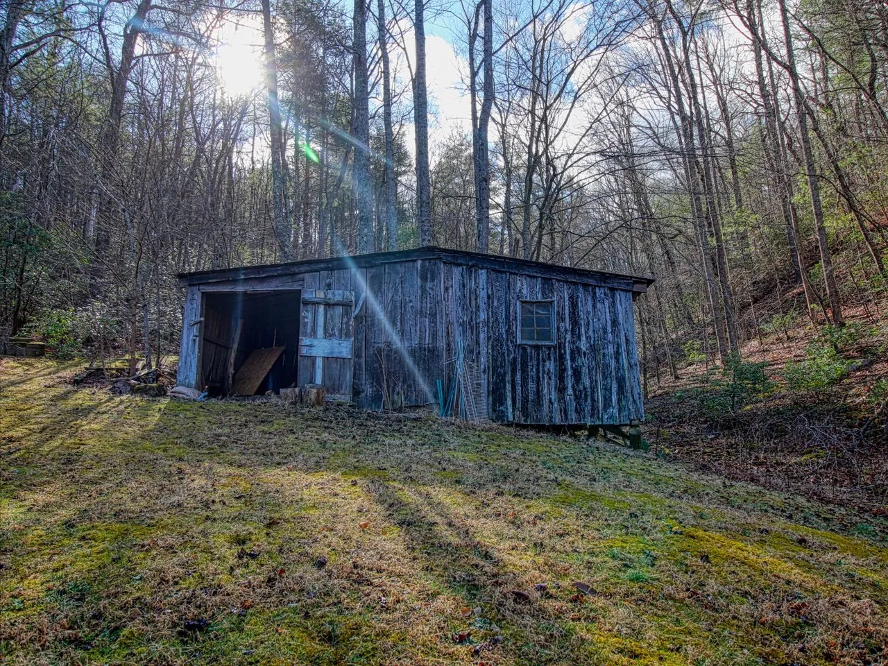 A three-sided shed of grey boards in the trees