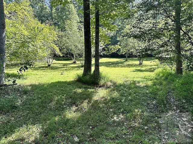 Pasture with trees along its edge