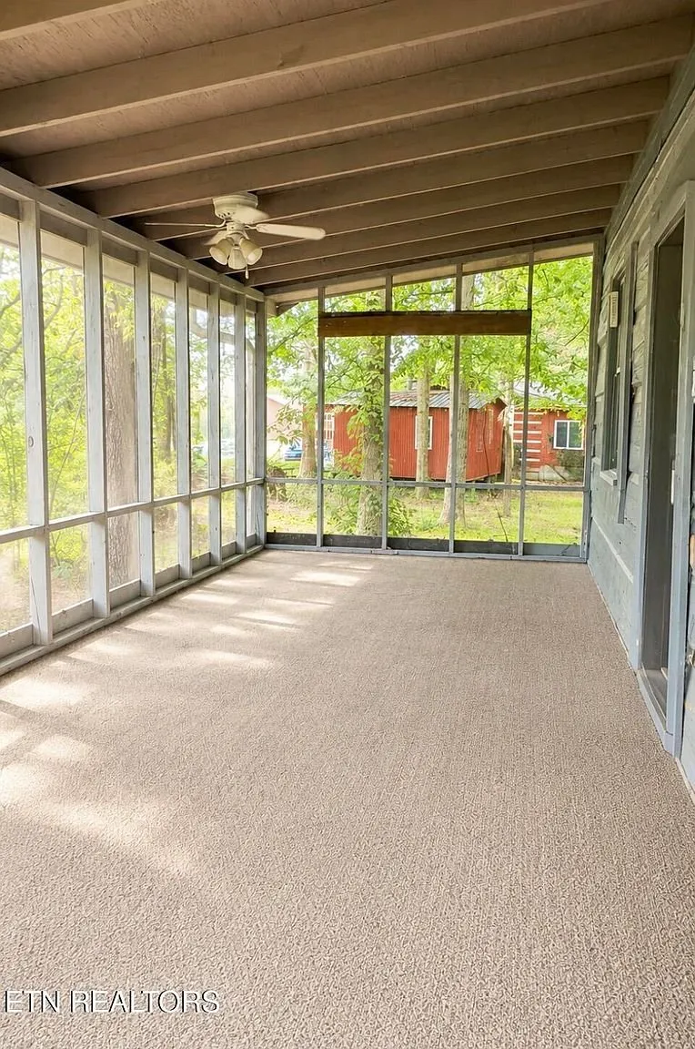 Inside the screened porch with its carpeted floor