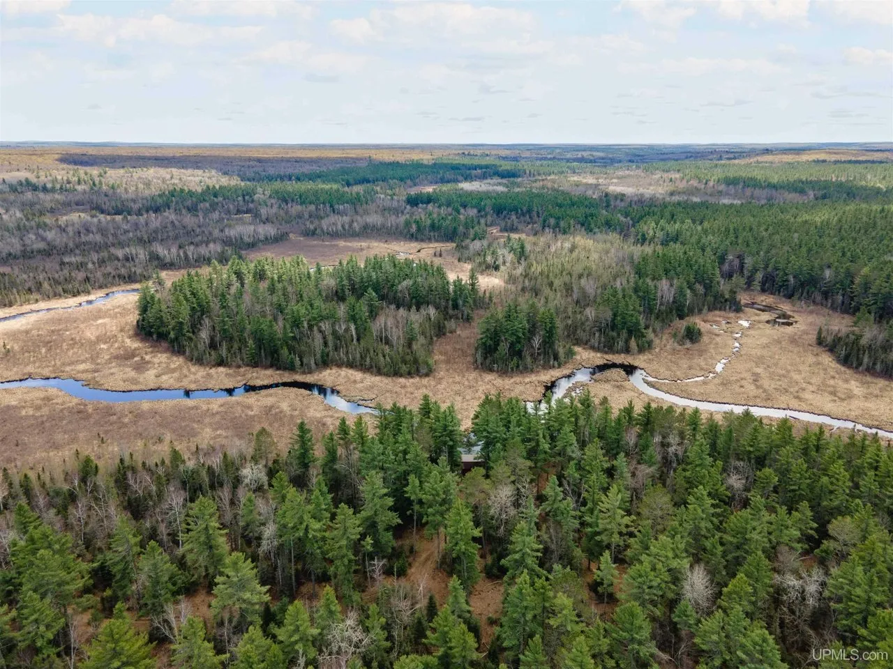 Aerial looking down the river valley with the forest on both sides