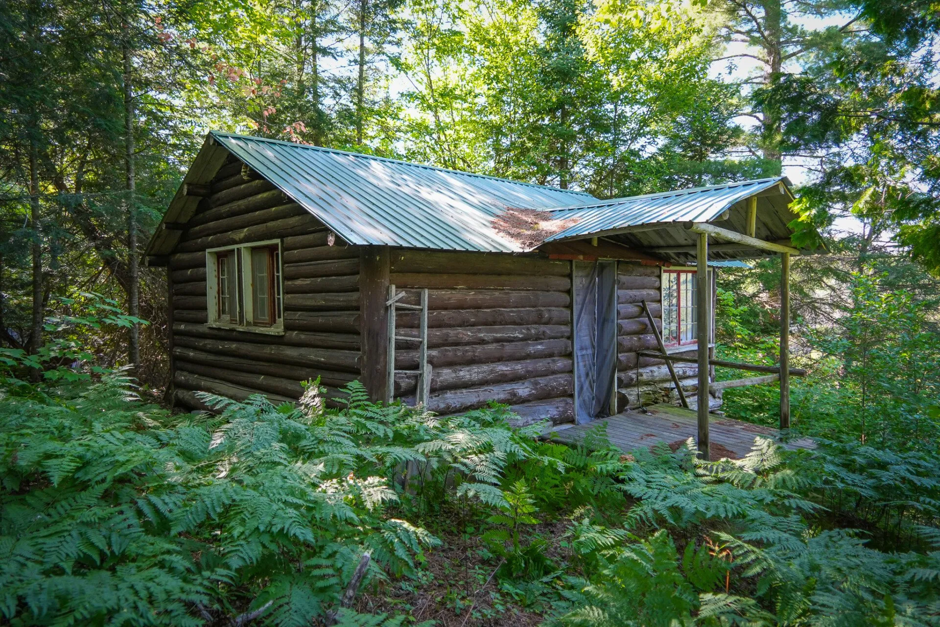The third log cabin with a metal roof and a ladder against the wall, ferns to the sill