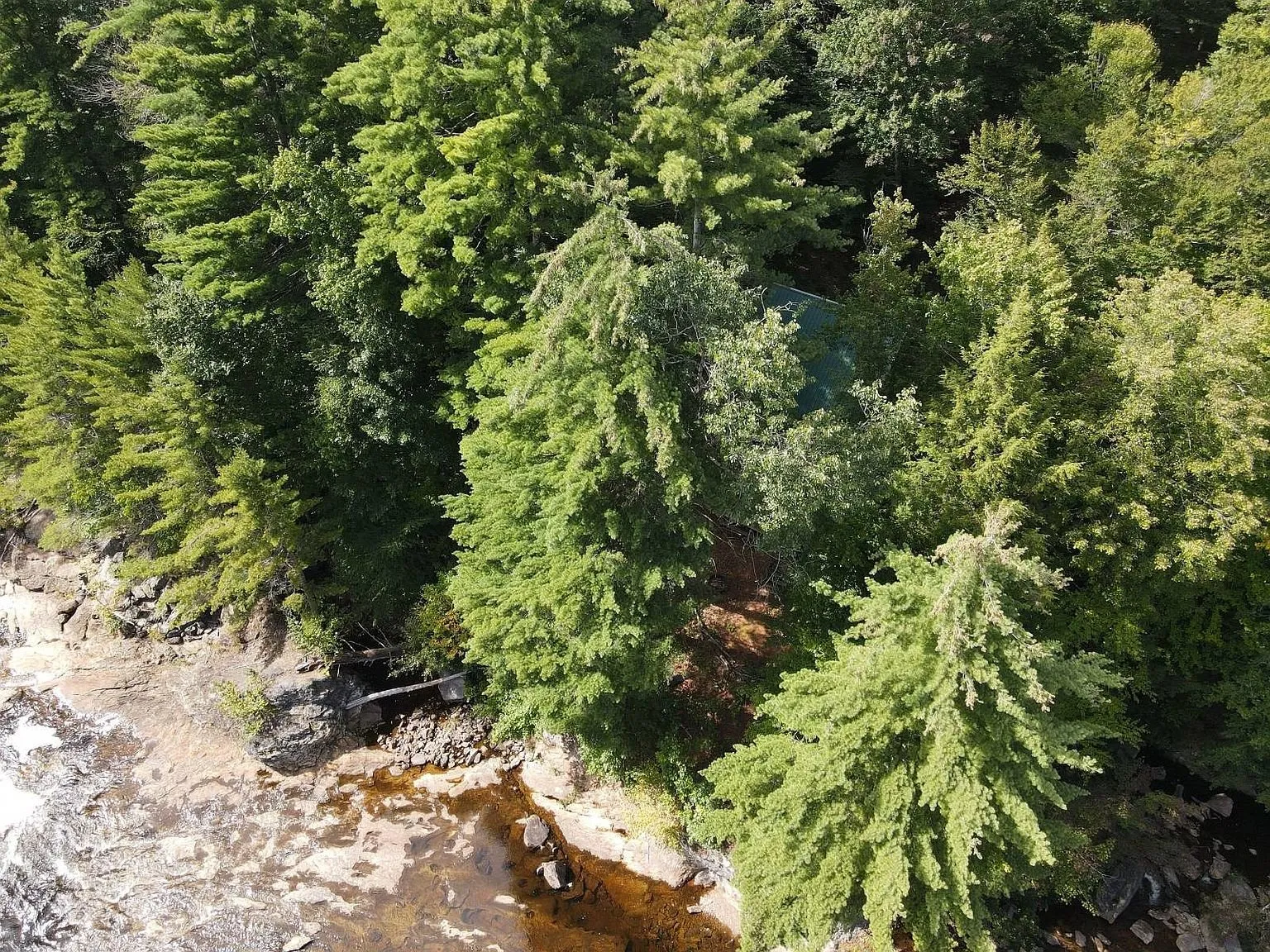 The river and the ledges from above through the pines