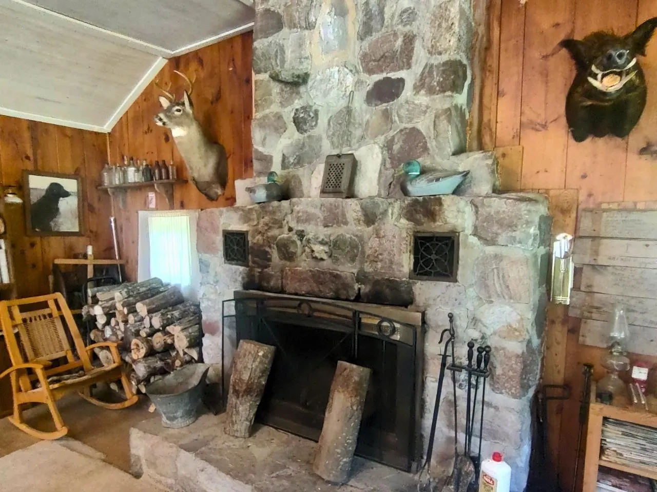 The fieldstone fireplace with its iron screen, split wood stacked beside it and mounts on the wall