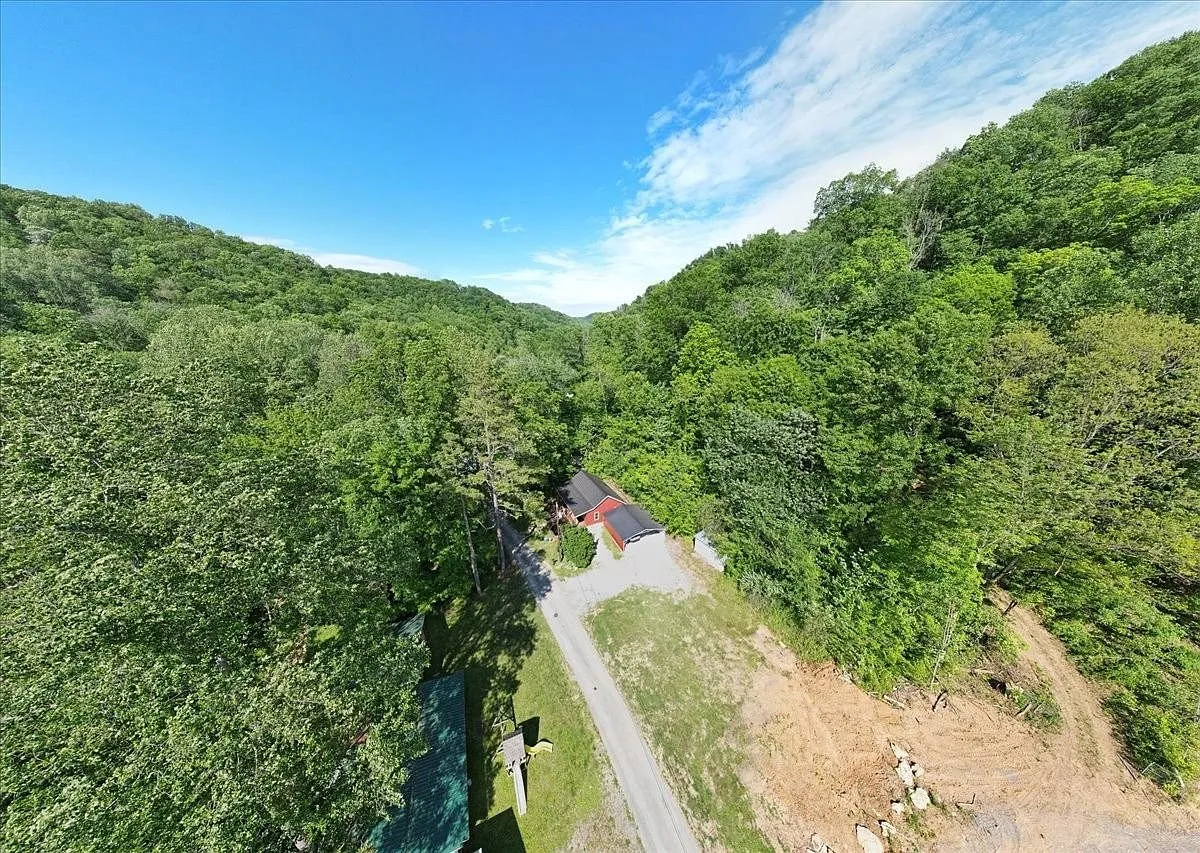 A wider aerial view of the wooded hillside the property sits in, road and neighboring tree line visible beyond the drive