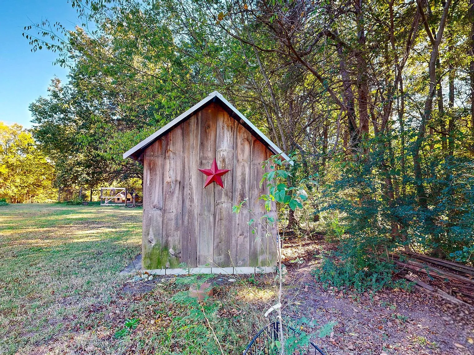 A small wooden garden shed with a star decoration, set at the edge of the trees