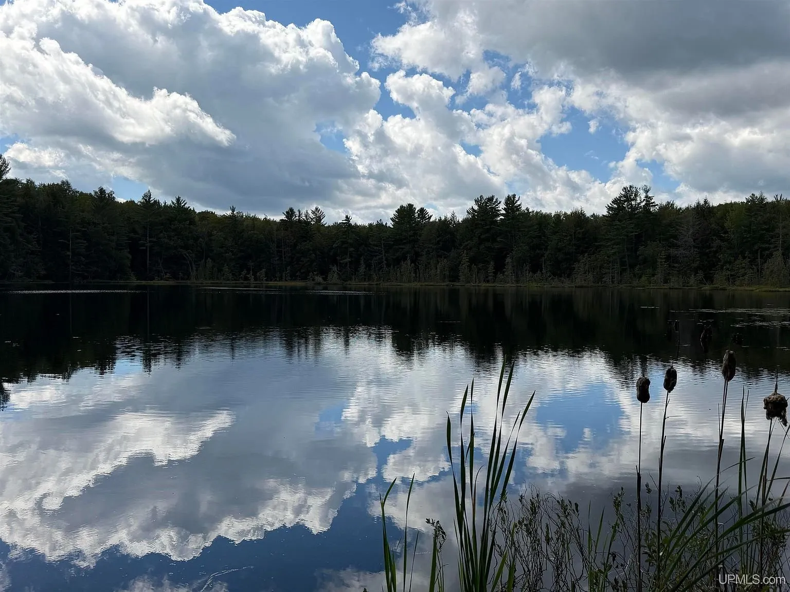 Clouds reflected in the lake with cattails along the edge