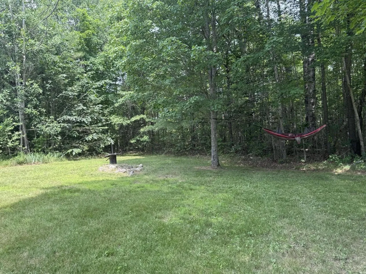 The back lawn with the fire ring and the hammock in the trees