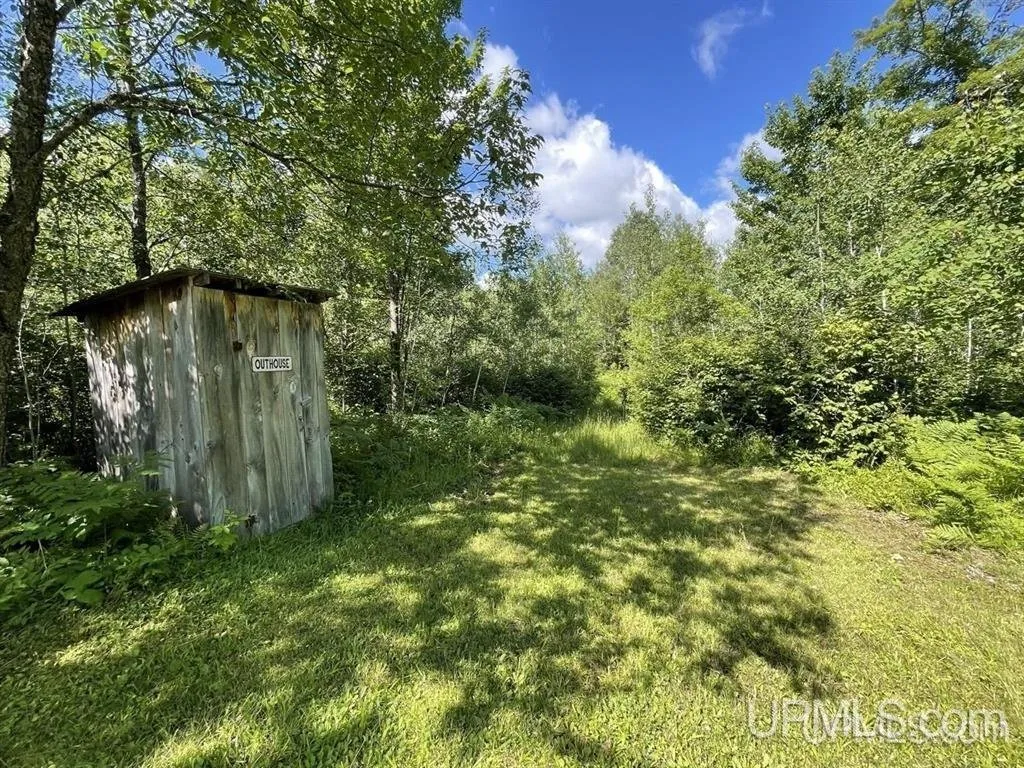 A weathered outbuilding in the brush at the edge of the clearing