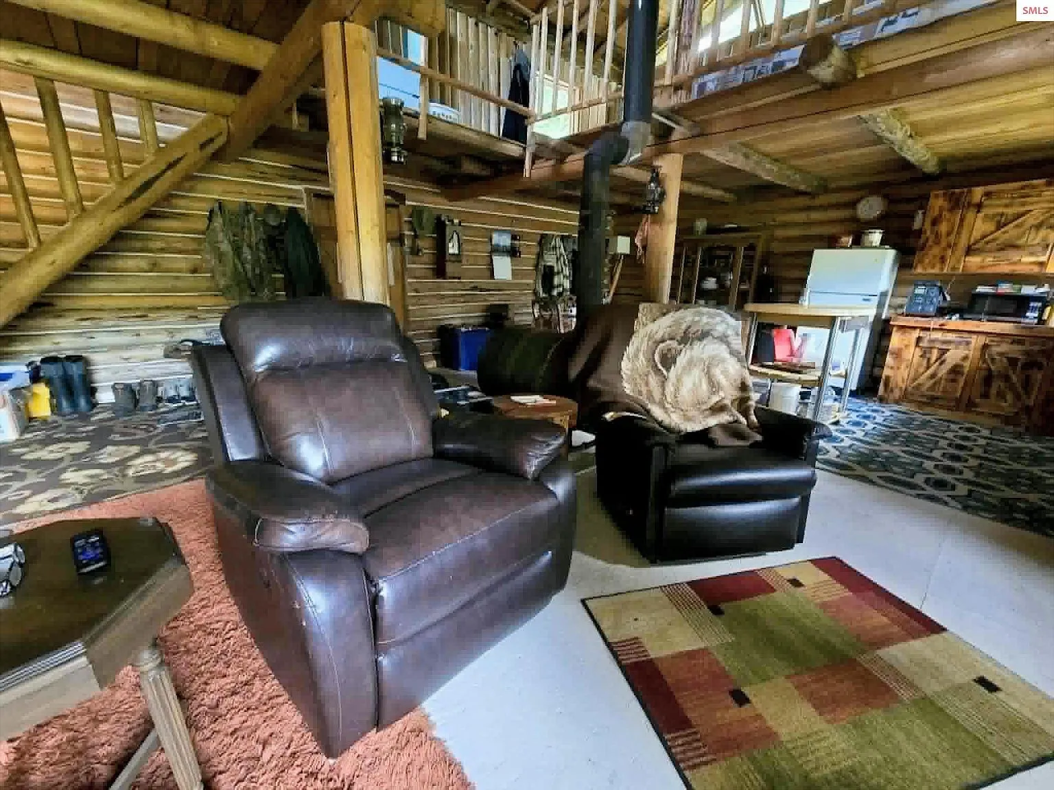 The living room's wood stove, with a bear hide and mounted deer hide on the wall above