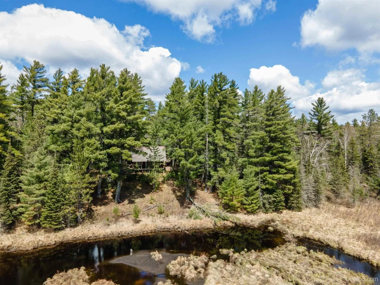 The river bend seen from above the pines