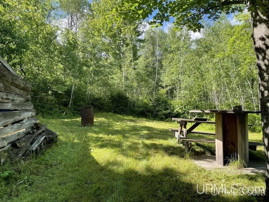 Stacked timber and a wooden frame at the edge of the woods
